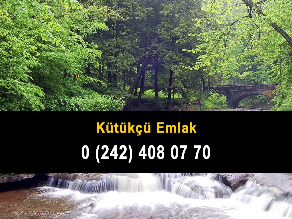 Kütükçü Emlak